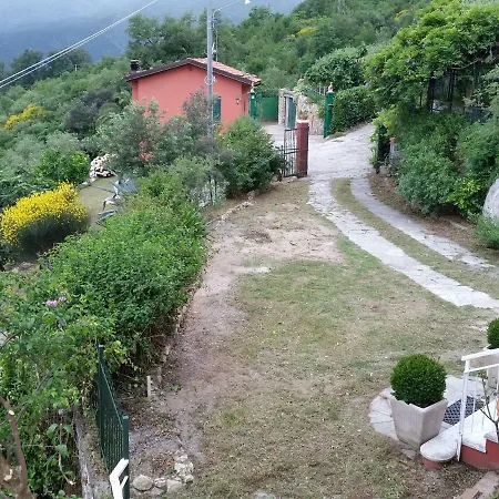 Colpi Di Timone