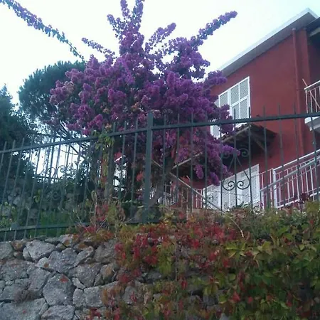 Colpi Di Timone * Finale Ligure